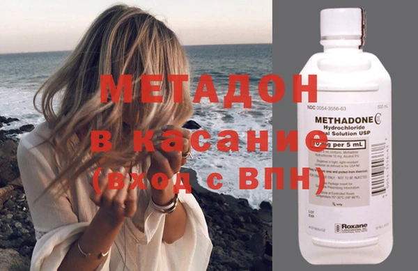 прущие грибы Аркадак