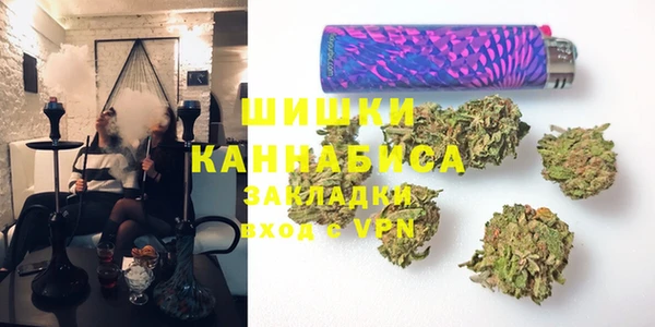 прущие грибы Аркадак